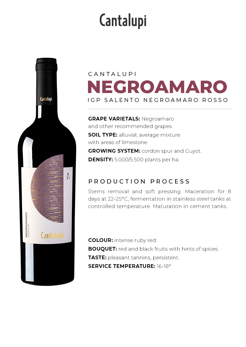 ContiZecca-SchedaTecnica2024-Cantalupi-Negroamaro-ENG