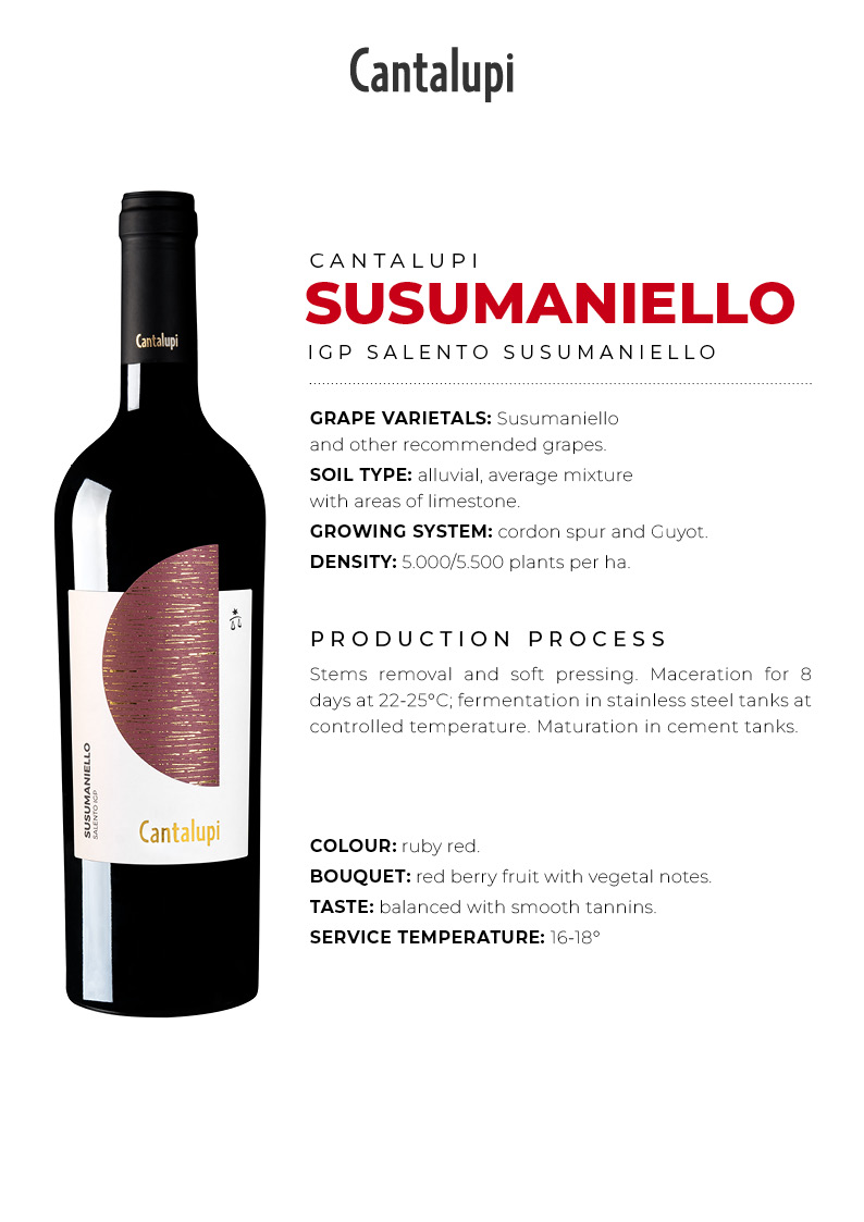 ContiZecca-SchedaTecnica2024-Cantalupi-Susumaniello-ENG