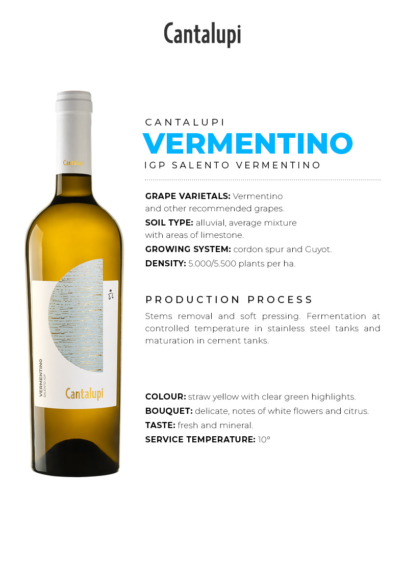 ContiZecca-SchedaTecnica2024-Cantalupi-Vermentino-ENG